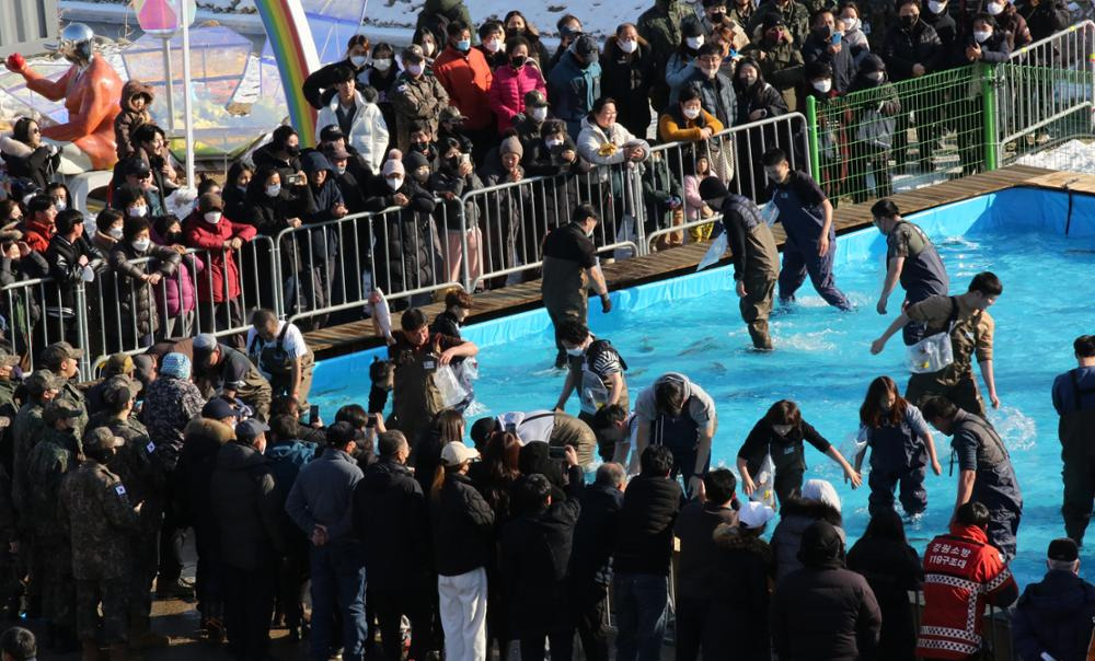 홍천강 꽁꽁축제