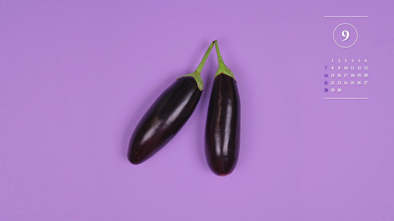 01 가지 두 개 A - 2025년9월 노트북배경화면