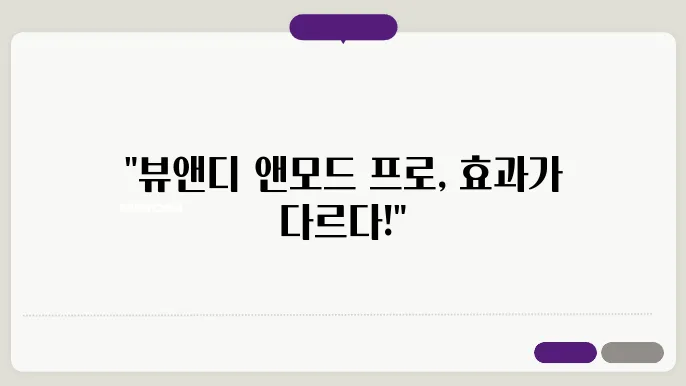 뷰앤디 앤모드 프로 시장 가격