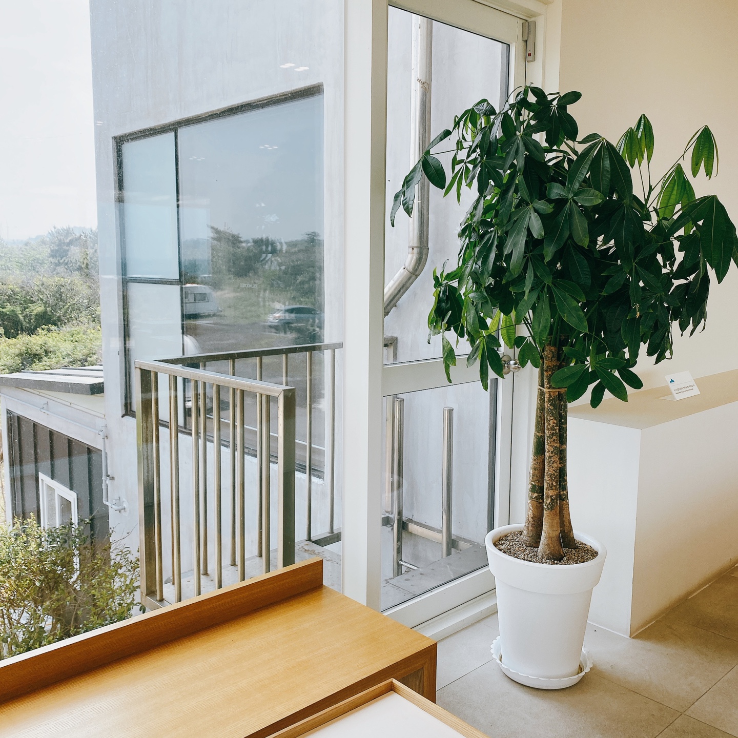 제주 구좌 김녕해수욕장 카페 델문도 김녕점