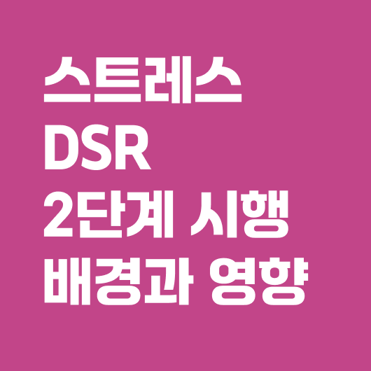 스트레스 dsr 2단계