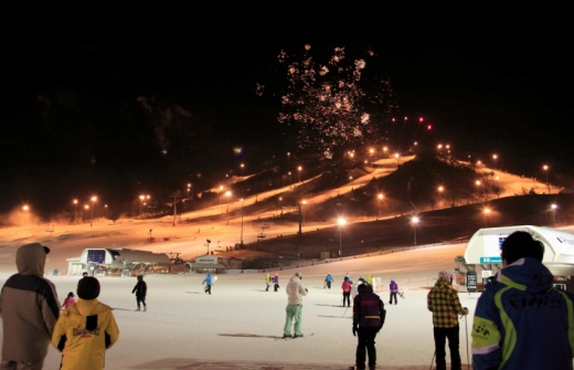 알펜시아 리조트 스키장