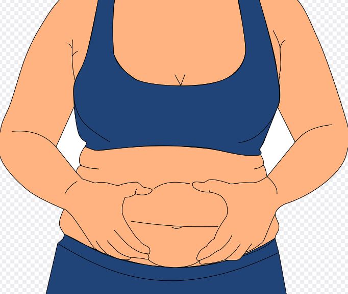 비만 관련 사진