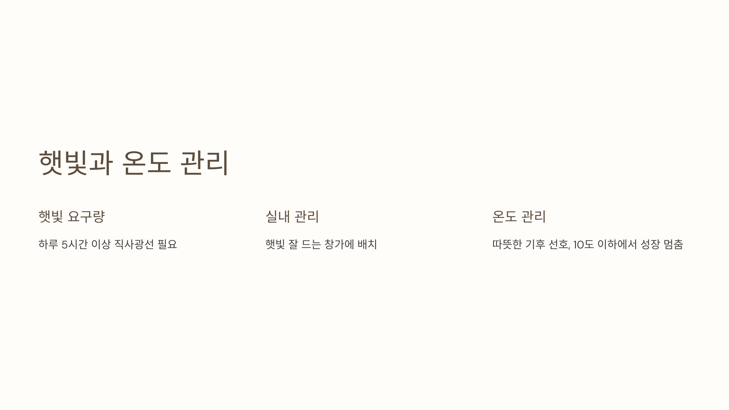 란타나와 관련된 사진입니다.