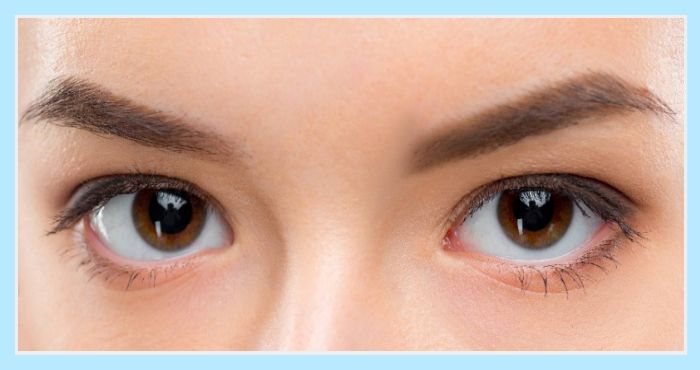 맑고 건강한 갈색 눈동자를 클로즈업한 이미지