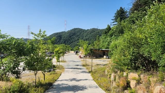 스카이존