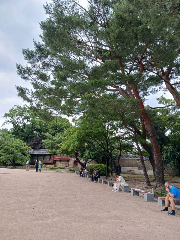 창덕궁 후원가는 길