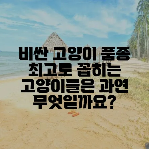 비싼 고양이 품종 최고로 꼽히는 고양이들은 과연 무엇일까요?
