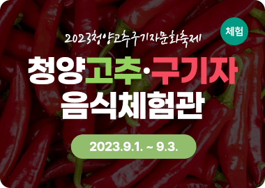 청양고추구기자축제