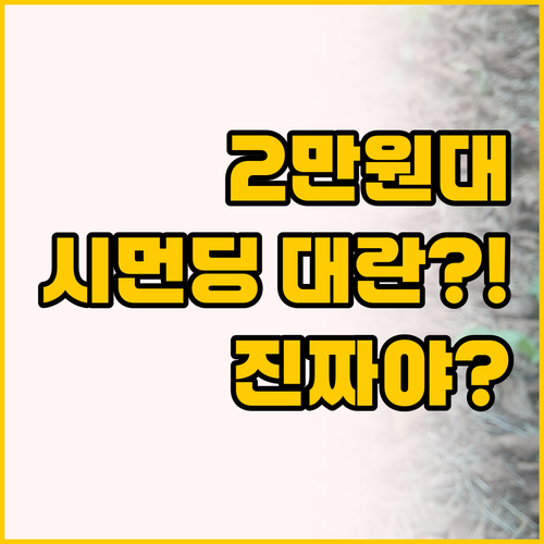 2만원대로 시먼딩 한복판에서 놀다니 ..