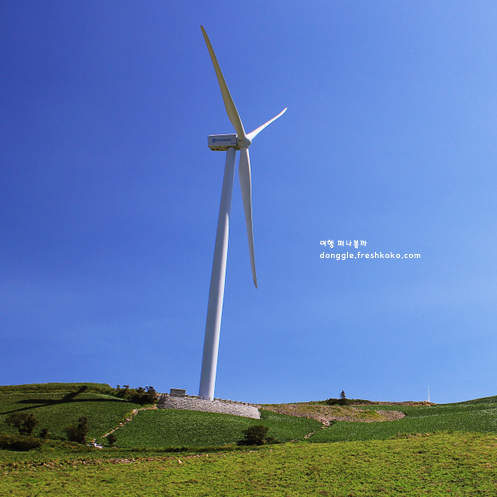 태백 가볼만한곳