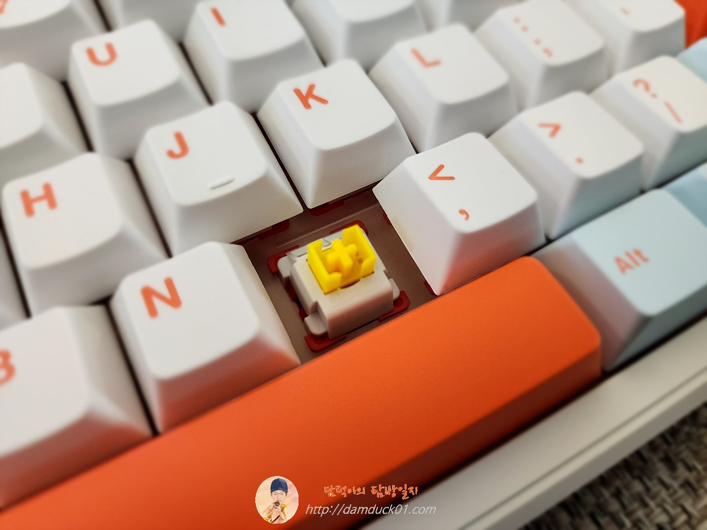 AULA F87 Pro 독거미 키보드