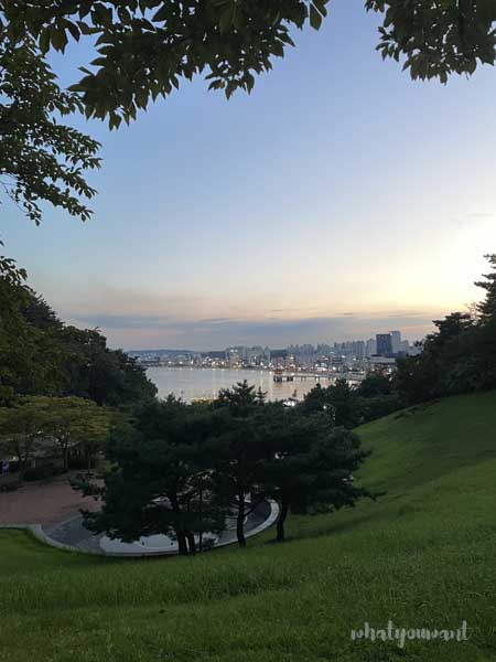 포항 야경 명소 추천 ❘ 환호공원