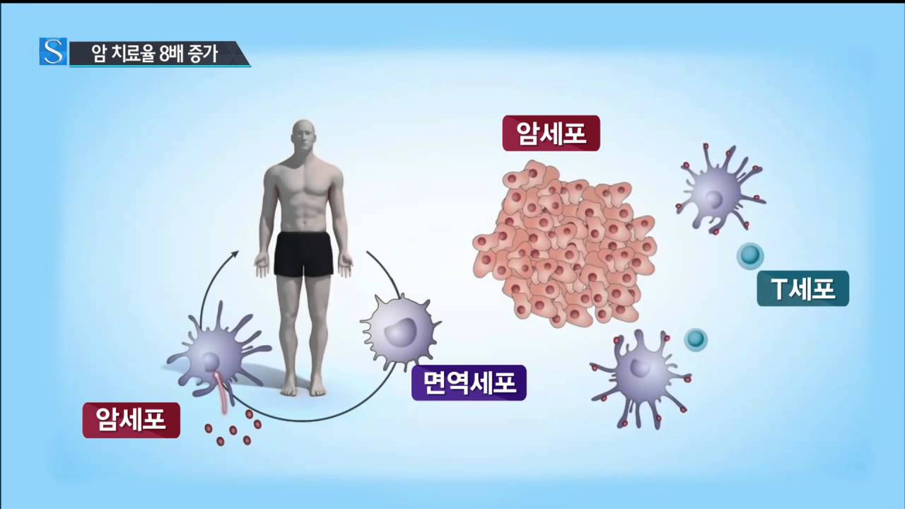 면역력 높이는 신기술 개발...암 치료율 8배 증가