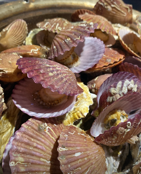 바다언니야 대표메뉴