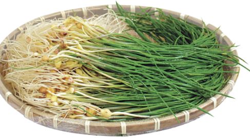 3월 제철 음식&amp;#44; 식재료&amp;#44; 해산물&amp;#44; 과일&amp;#44; 달래&amp;#44; 씀바귀&amp;#44; 쑥&amp;#44; 소라&amp;#44;