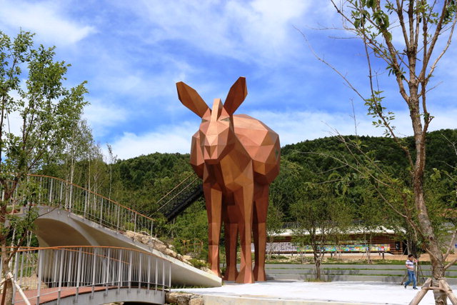 평창 가볼만한곳