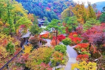 화담숲 예약하기 예약 방법 입장료 모노레일_2