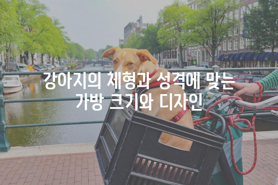 강아지의 체형과 성격에 맞는 가방 크기와 디자인