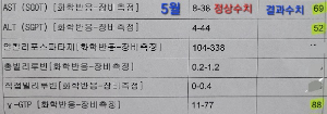 간수치-5월-결과