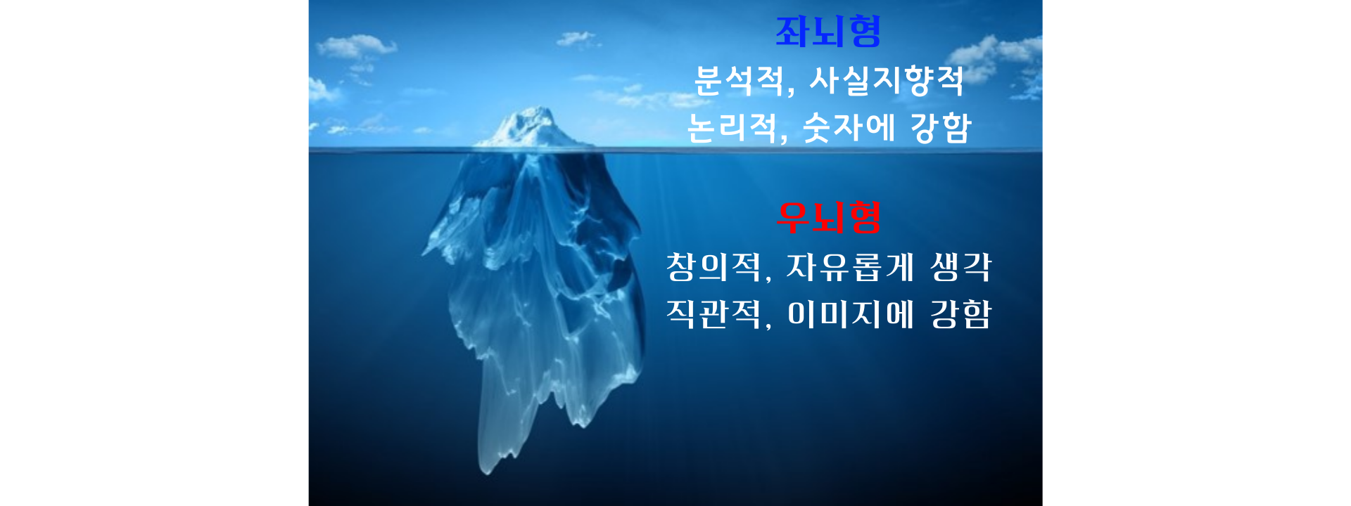 좌뇌_우뇌_기능