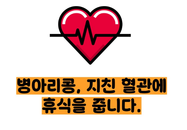 병아리콩 효능 부작용