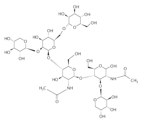 비염 완화 꽃가루 송화가루 봄 환절기 가을 알러지 알레르기 면역 호흡기 콧물 재채기 퀘르세틴 브로멜라인 quercetin bromelain