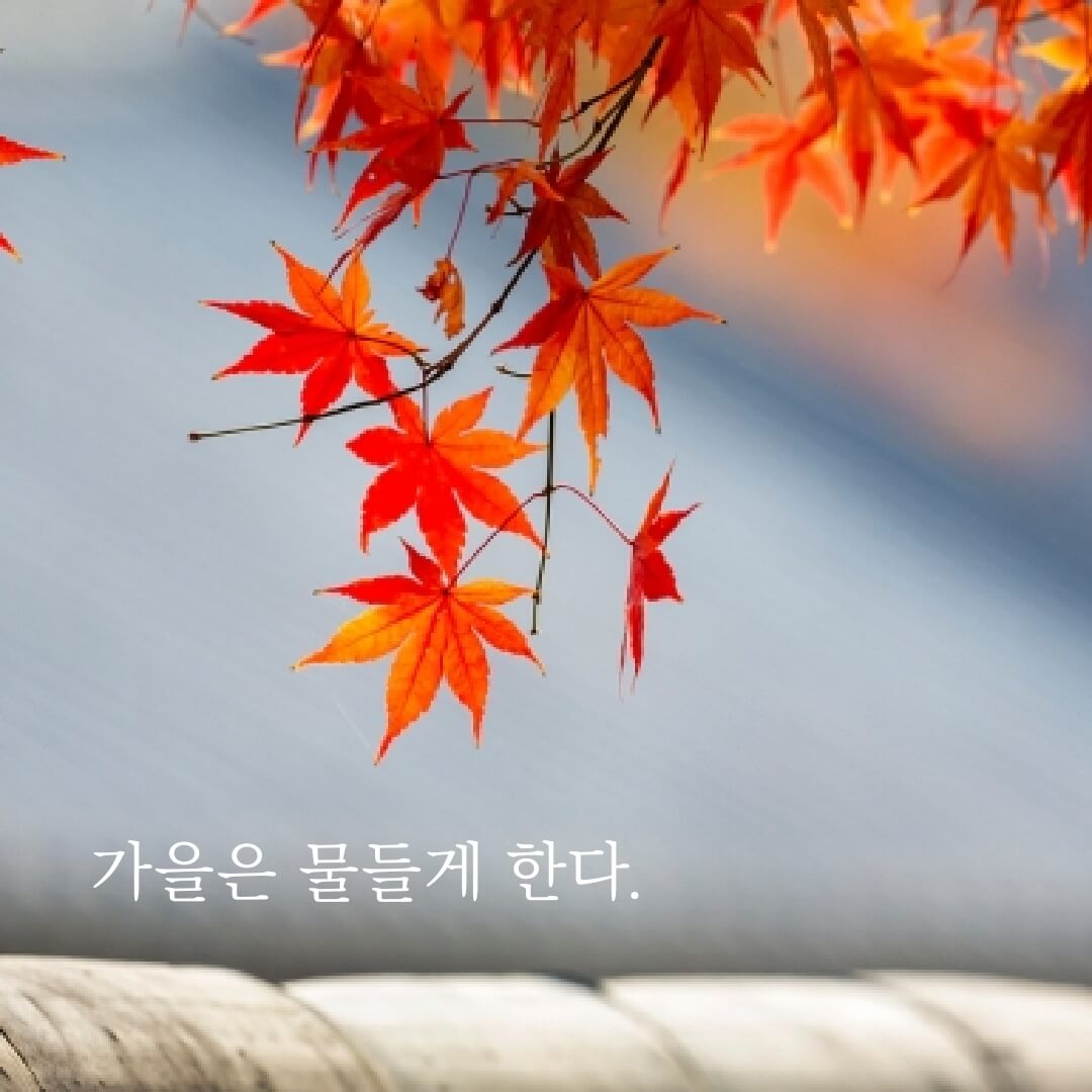 가을 좋은글 모음