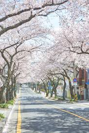 4월 제주도 가볼만한 곳 10곳