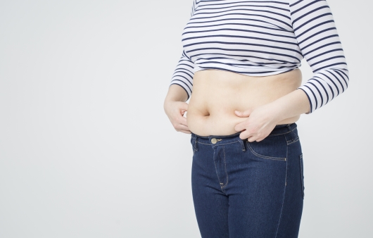 피하지방 관련 사진