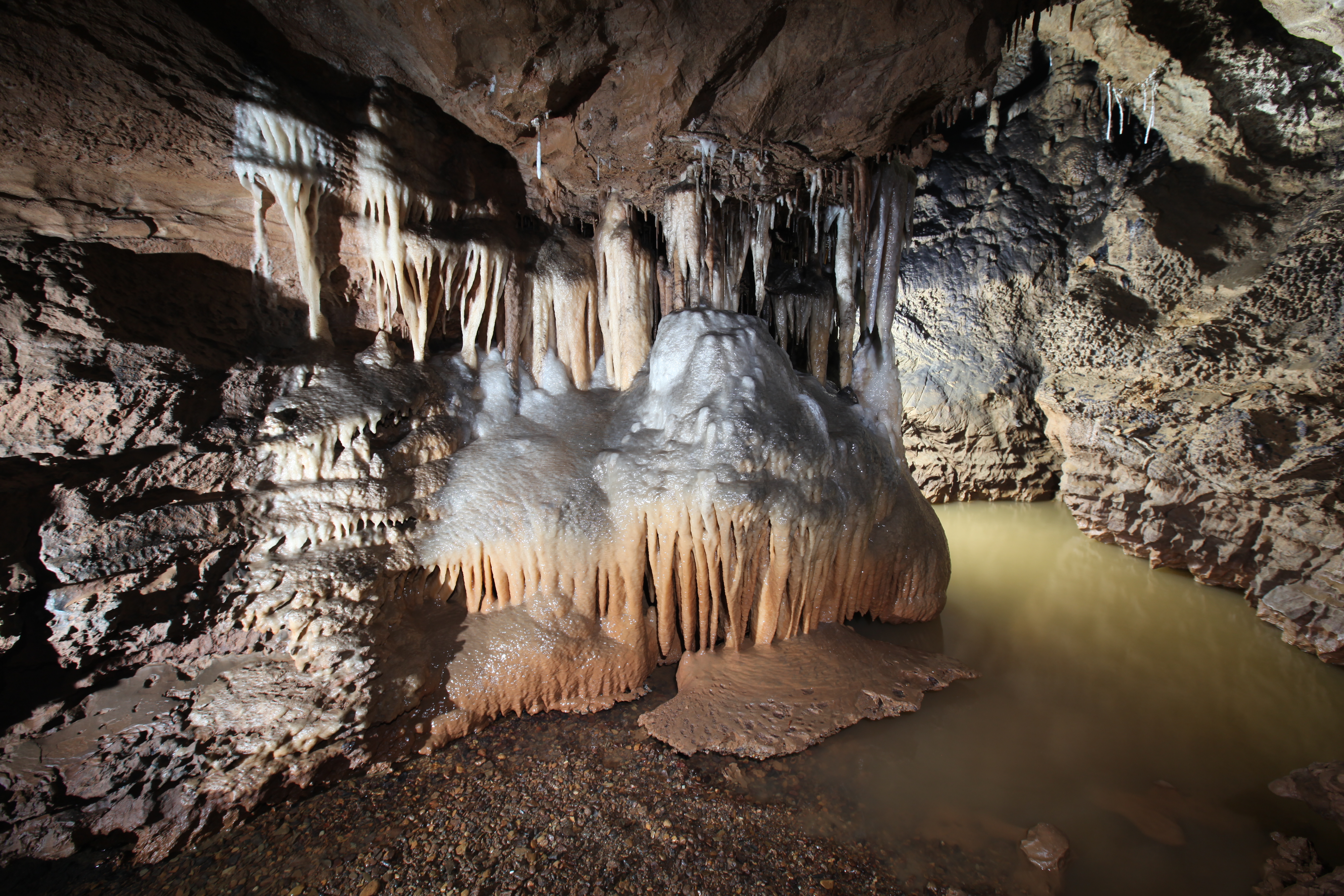 단양 고수동굴 종유석