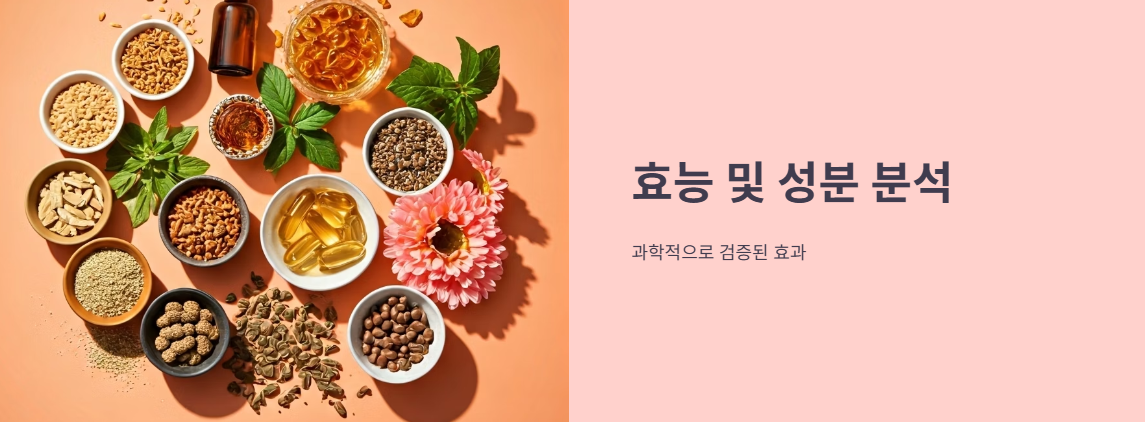 주요 효능 및 성분 분석