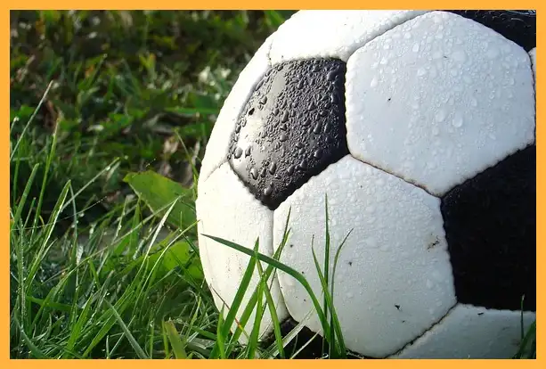 축구 중계방송 무료 바로보기 (한국 팔레스타인)