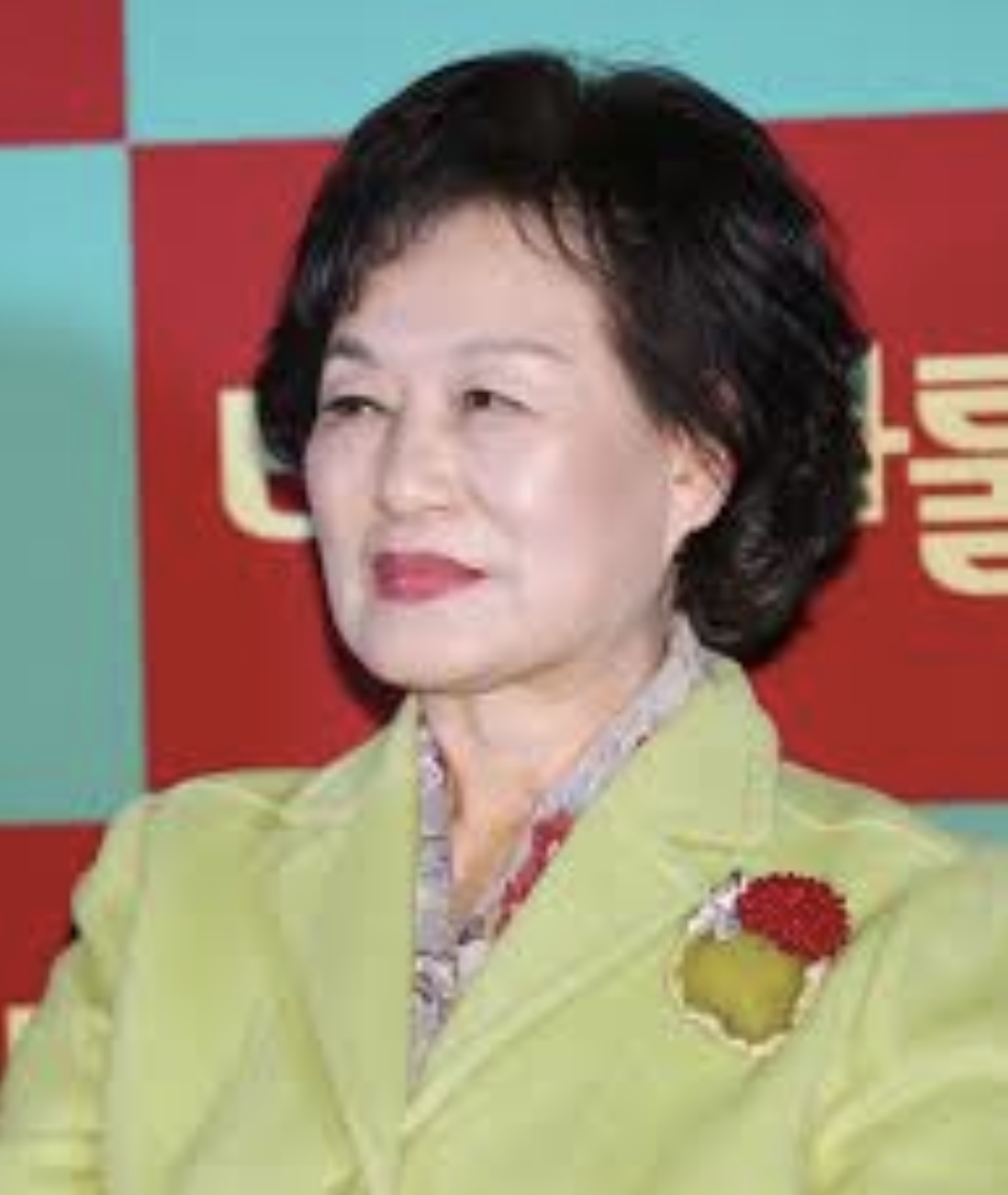 최선자 활동