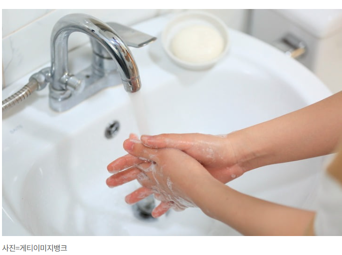 천연 세제 곰팡이 제거