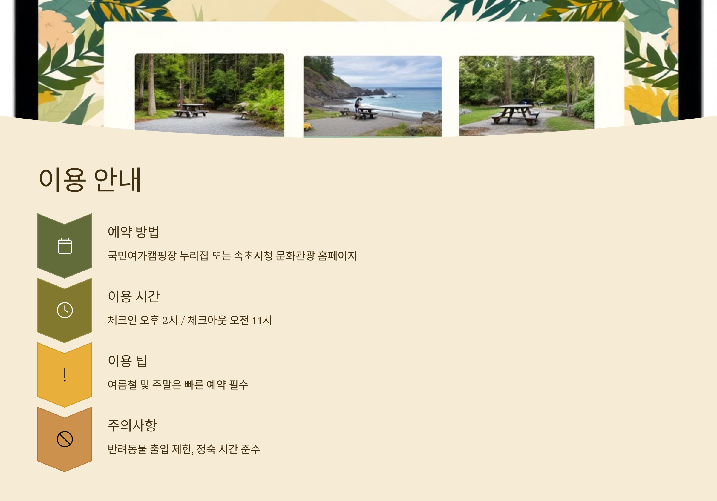 🏖️ 속초해변 국민여가 캠핑장, 바다와 맞닿은 감성 캠핑의 성지!