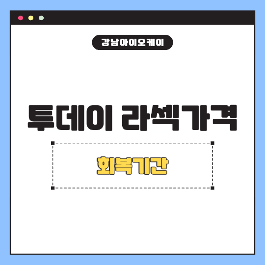 투데이라섹-가격