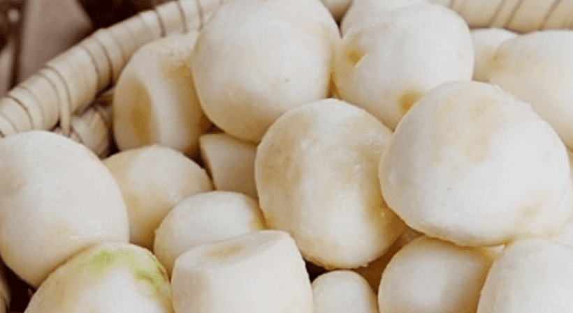토란 사진3