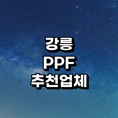 강릉시 ppf