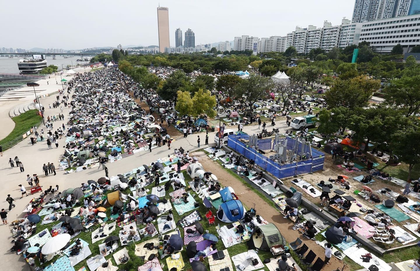 여의도 볼꽃축제를 보기 위해 100만명이 모였다.