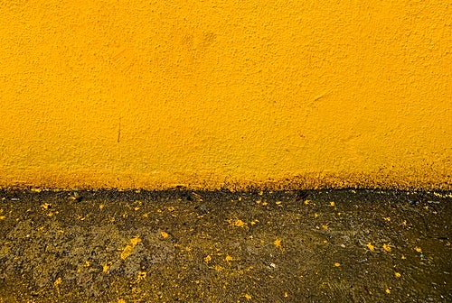 겨자 or 머스타드&#44; 정말 몸에 좋을까?