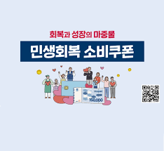 민생 소비 쿠폰, 어디서 못 쓰나요? (2025년 최신 기준)
