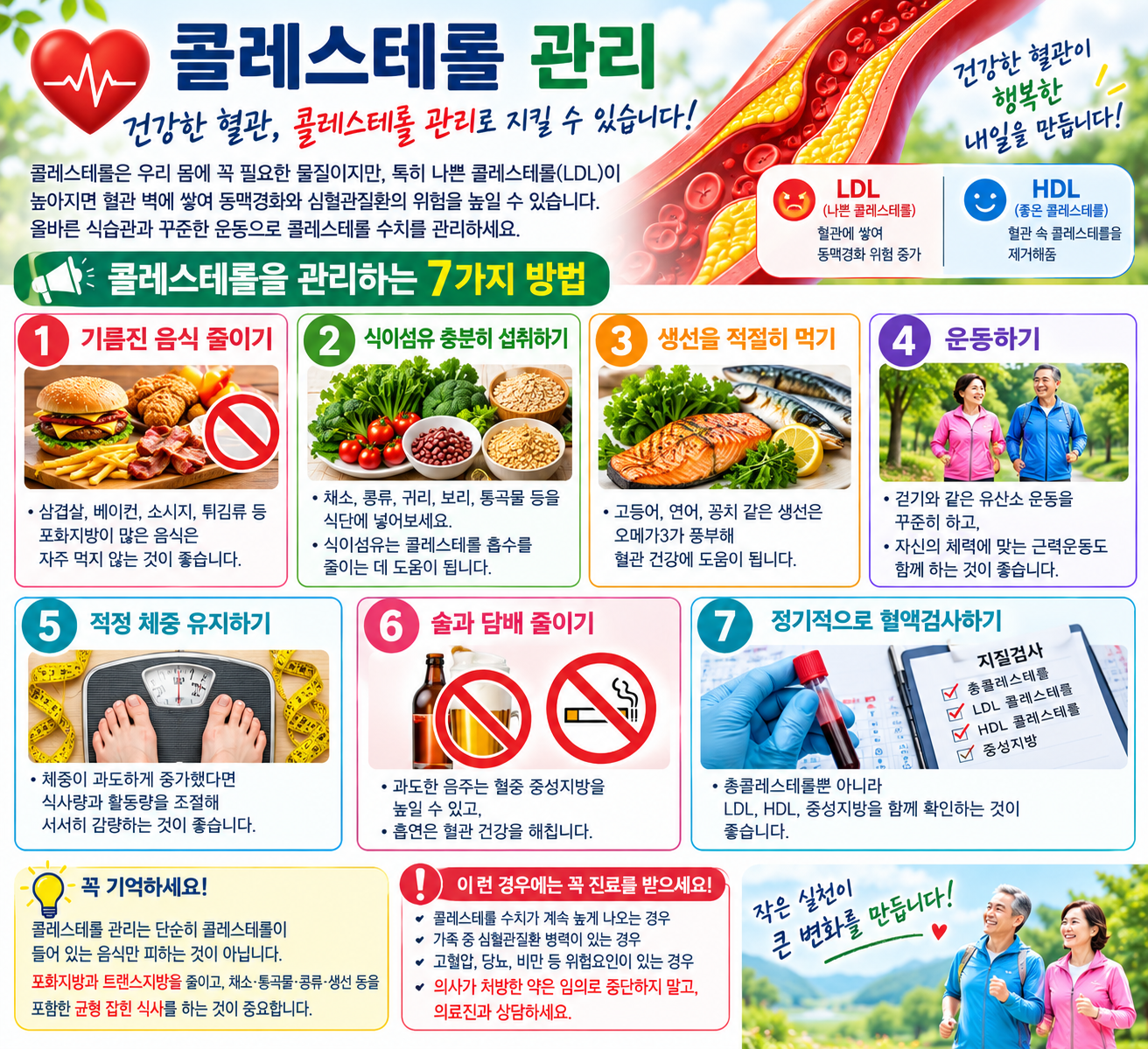 콜레스테롤