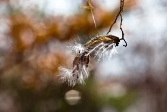 삼원구운 1~9운 설명과 사건사고 사례_29