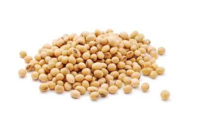 여성 갱년기에 좋은 식품