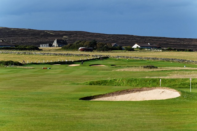 산이 보이는 골프장