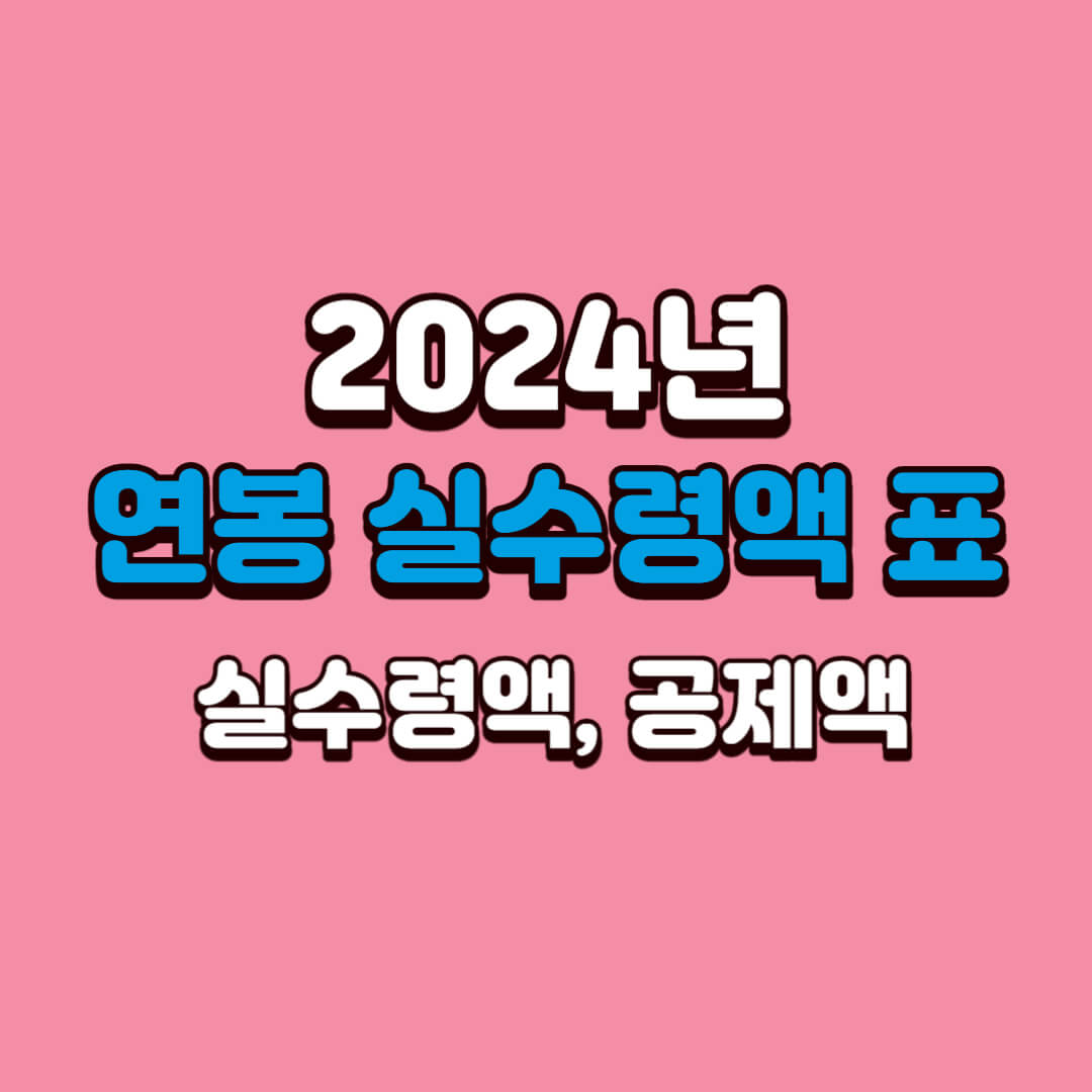 2024년-연봉-실수령액-표