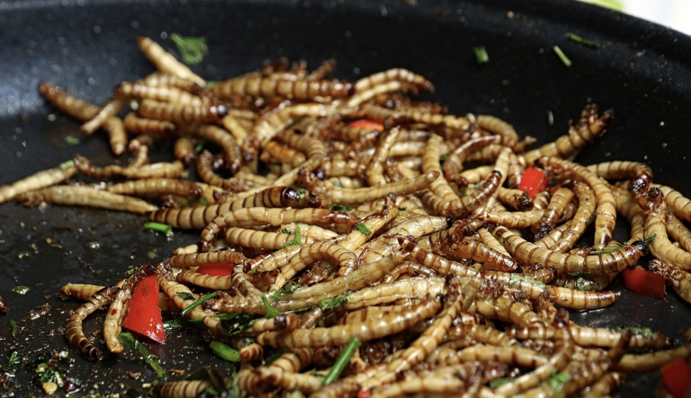 곤충 식량: 새로운 단백질 자원의 가능성