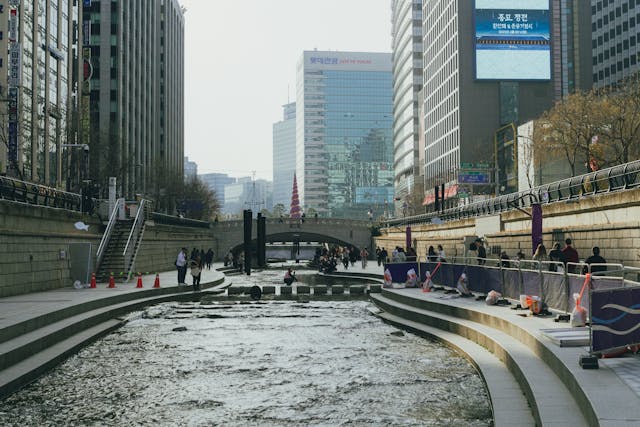 서울 도심