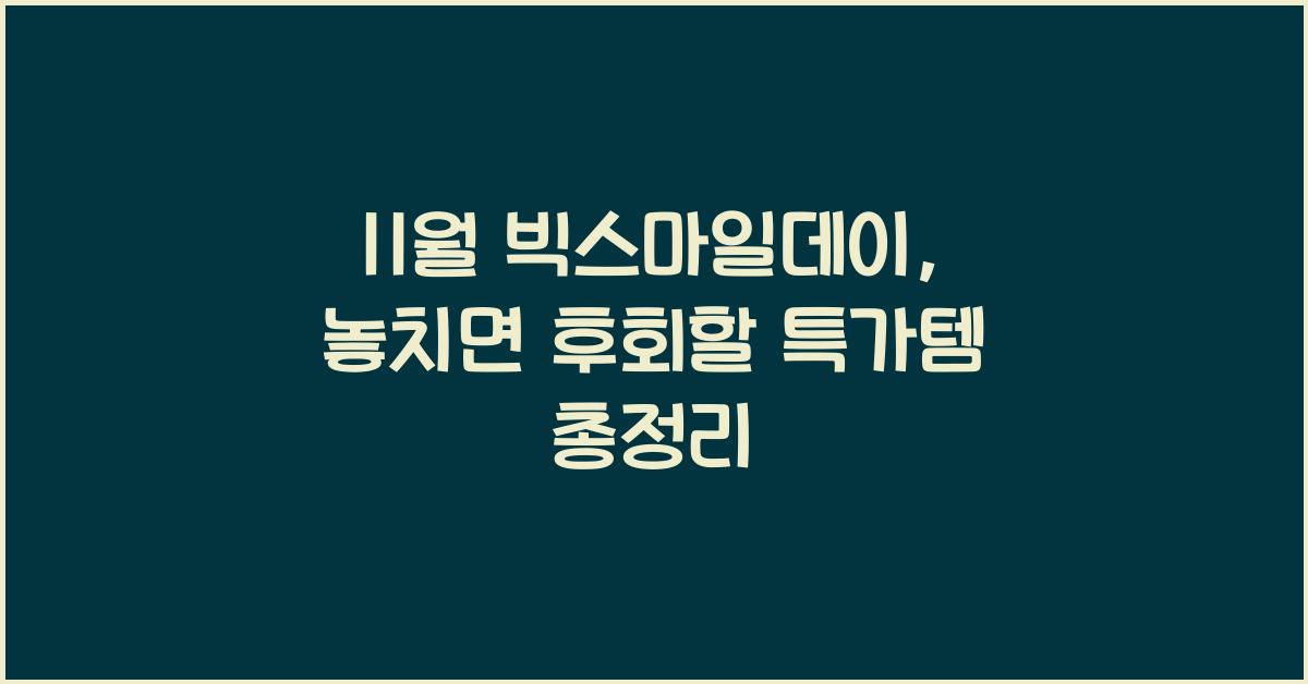 11월 빅스마일데이